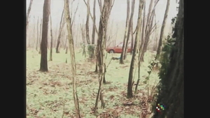 Remigio Zampa having sex with tall Sheila Stone in the woods